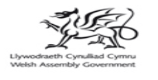 Welsh Assembly 2